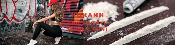 гашик Белокуриха