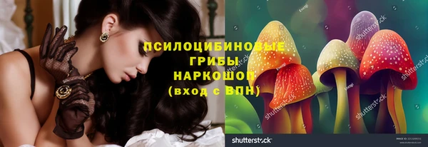 гашик Белокуриха