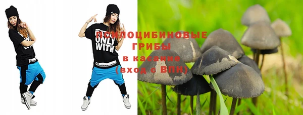 гашик Белокуриха