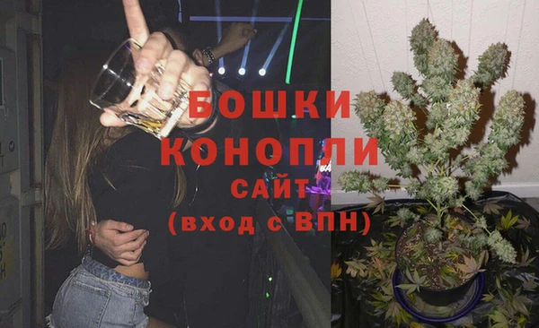 гашик Белокуриха