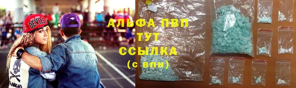 гашик Белокуриха