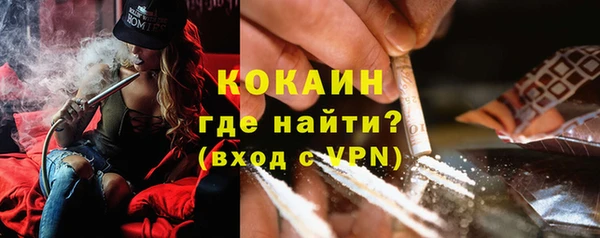 гашик Белокуриха