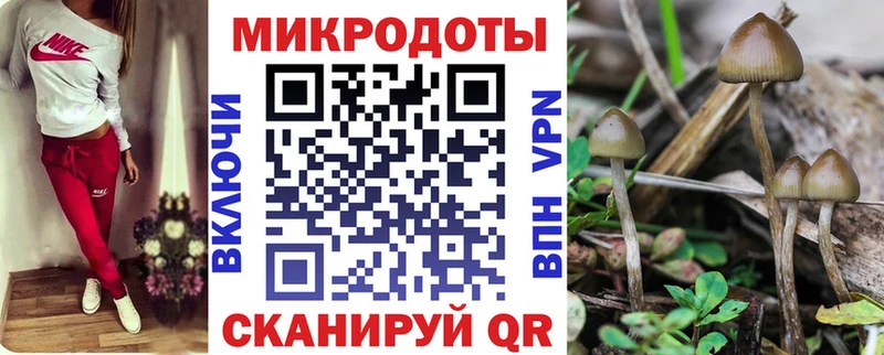 Псилоцибиновые грибы мухоморы  OMG рабочий сайт  Жиздра  что такое  